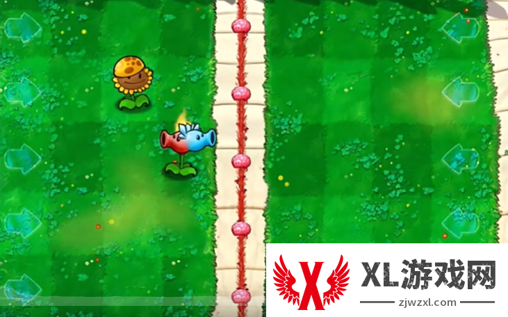 植物大战僵尸杂交版