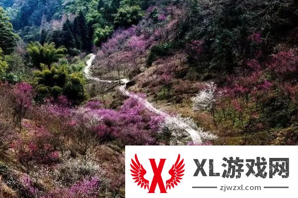 丹景山风景区有什么好玩的