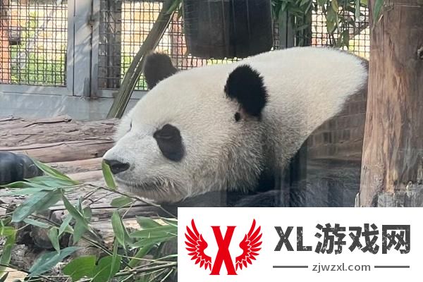 北京动物园门票多少钱一张2025