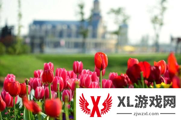 大丰荷兰花海什么时候去最好