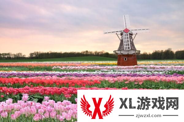 大丰荷兰花海什么时候去最好