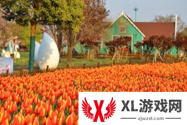 2025大丰荷兰花海门票多少钱 附优惠政策