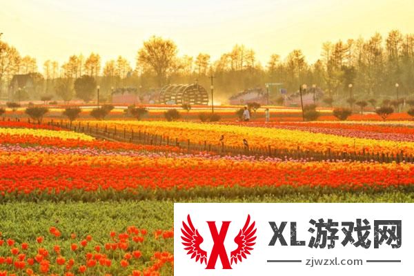 2025大丰荷兰花海门票多少钱 附优惠政策