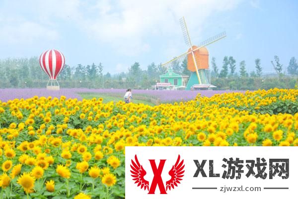 2025大丰荷兰花海门票多少钱 附优惠政策