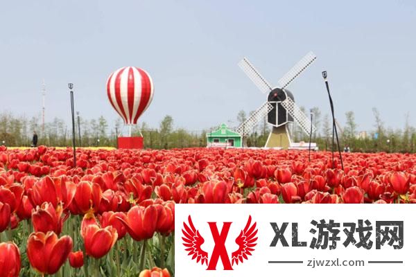 盐城荷兰花海在哪里 附地址及交通指南