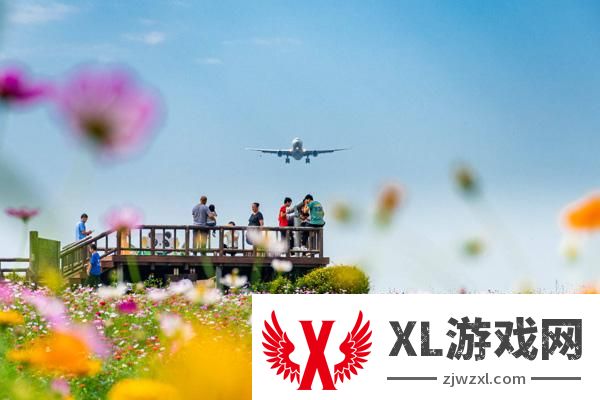 2025空港花田门票多少钱一张