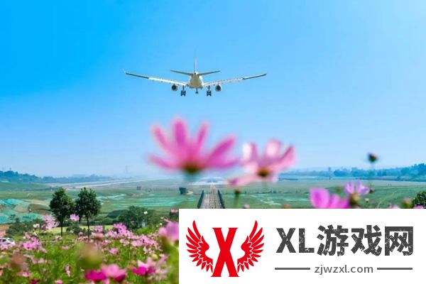 2025空港花田门票多少钱一张