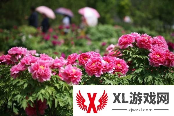 2025沙河桃花源风景区门票多少钱一张