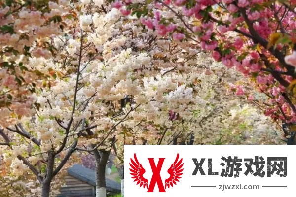 2025龙王塘樱花园门票多少钱一张 附优惠政策