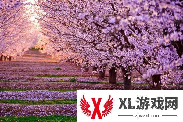 2025龙王塘樱花园门票多少钱一张 附优惠政策