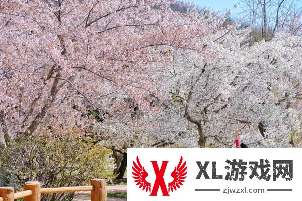 2025龙王塘樱花园门票多少钱一张 附优惠政策