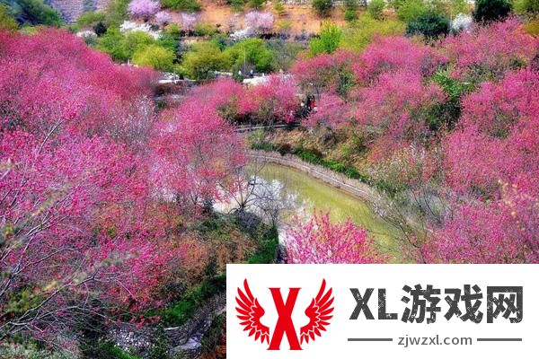 2025韶关樱花公园门票多少钱