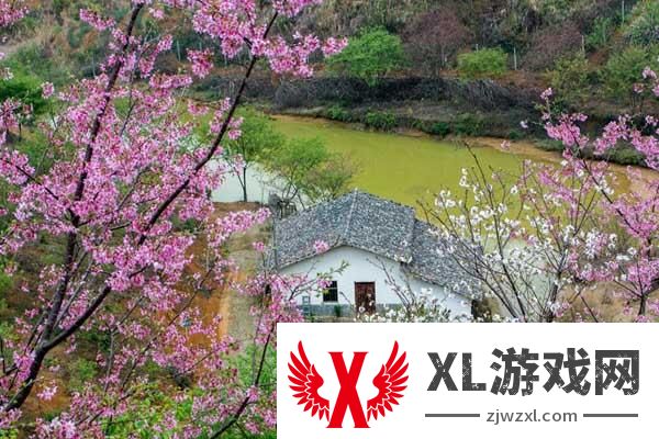 2025新丰樱花峪门票多少钱