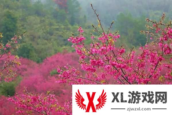 2025新丰樱花峪门票多少钱