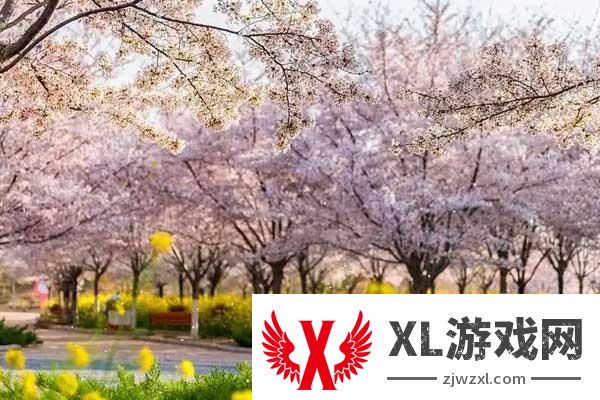 2025丰乐樱花园门票多少钱