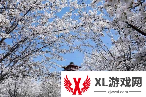 2025丰乐樱花园门票多少钱