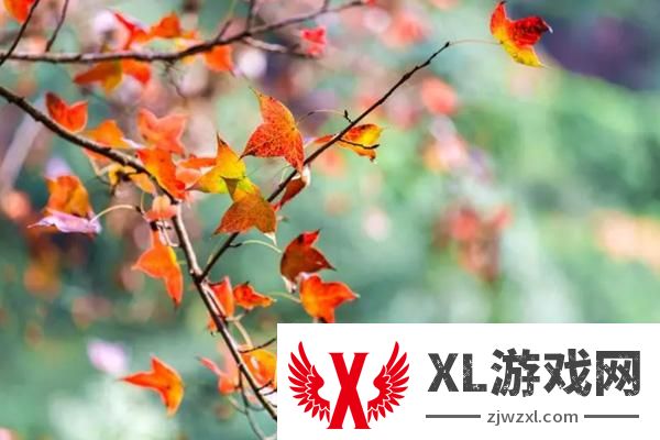 2025岭南红叶世界门票多少钱