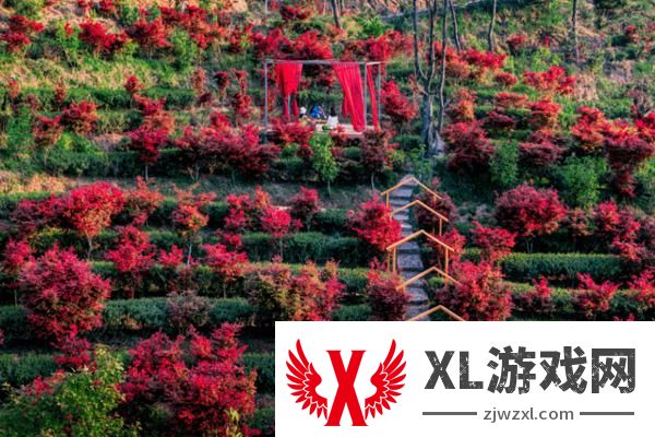 2025岭南红叶世界门票多少钱