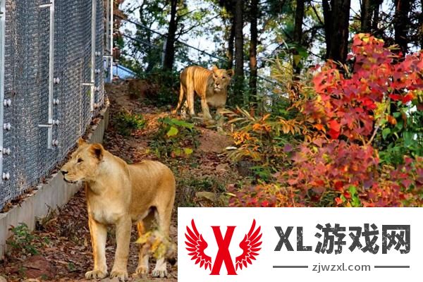 2025安徽大青山野生动物世界门票是多少
