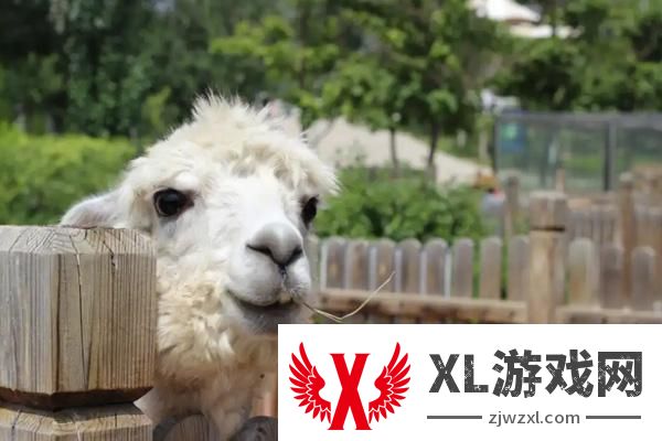 2025安徽大青山野生动物世界门票是多少