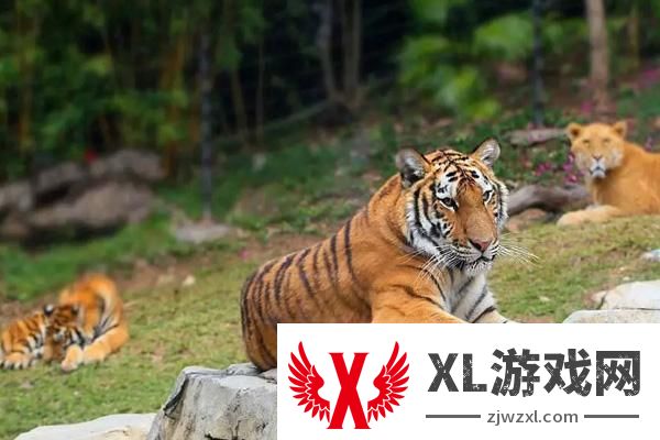 2025濮阳东北庄野生动物园门票多少一张