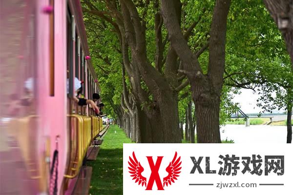 2024林渡小火车门票多少钱