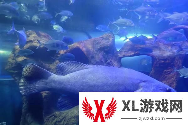 2024新乡人民公园海洋馆门票多少钱一张