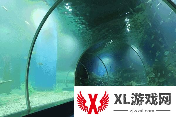 2024新乡人民公园海洋馆门票多少钱一张