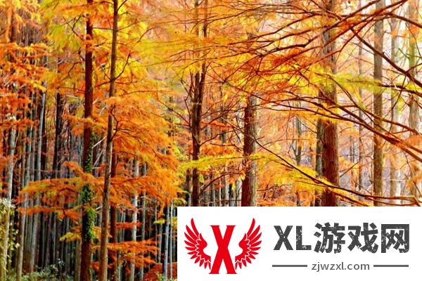2024波尔登森林公园门票多少钱