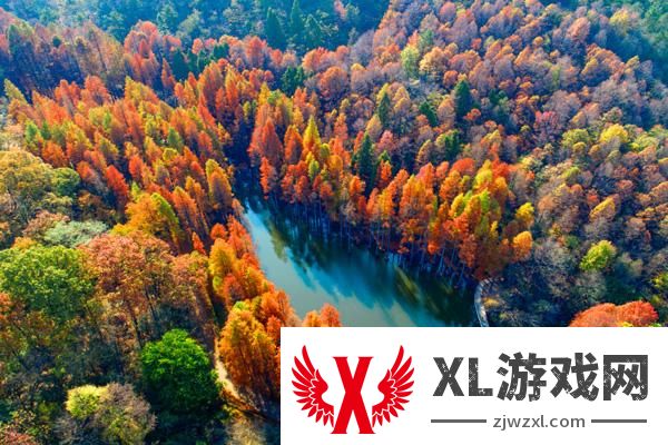2024波尔登森林公园门票多少钱