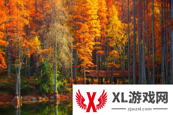 2024波尔登森林公园门票多少钱
