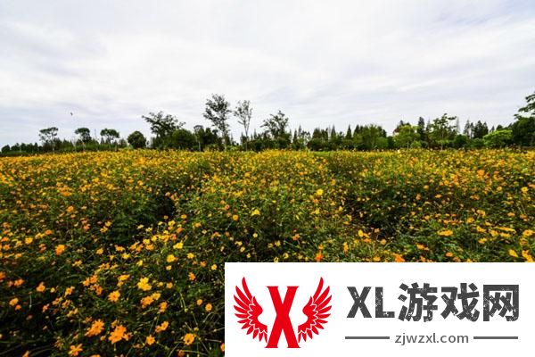 云澜湾四季花海乐园在哪里