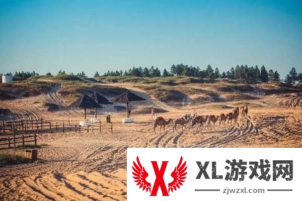 2024厚田沙漠景区门票多少钱