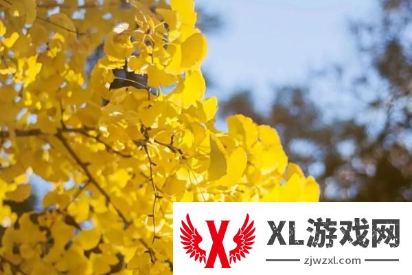 2024妥乐古银杏风景区门票是多少