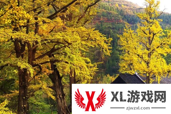 2024妥乐古银杏风景区门票是多少