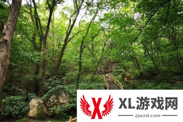 2024驻马店金顶山门票多少钱一张