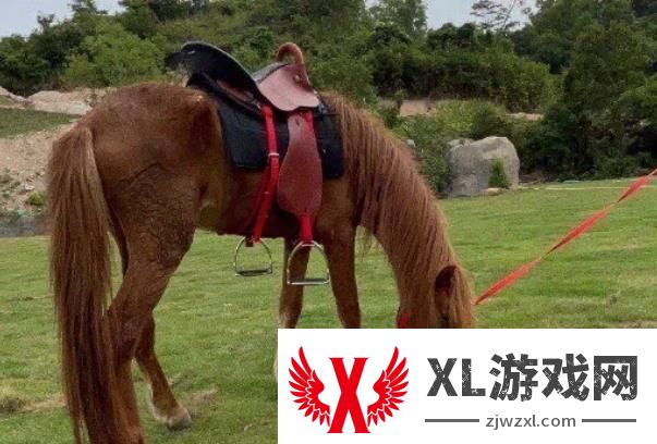 2024香山小镇门票多少钱