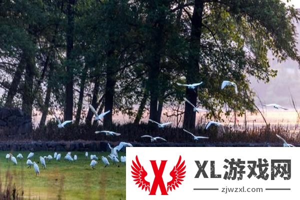 2024桐洲岛要门票吗