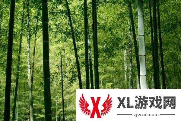 2024云栖竹径景区门票多少