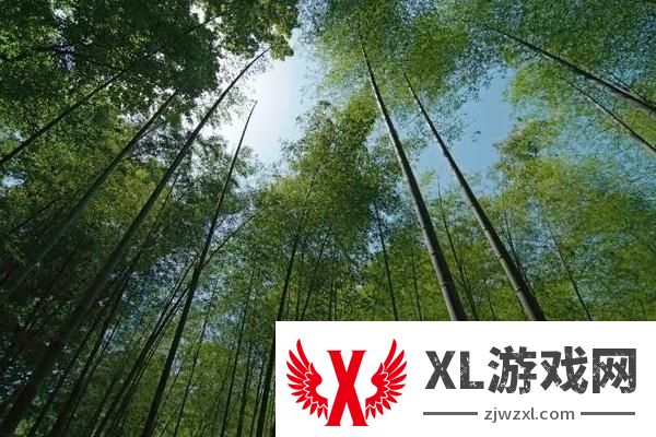 2024云栖竹径景区门票多少