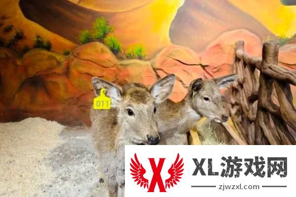 2024中山米果动物城门票多少钱