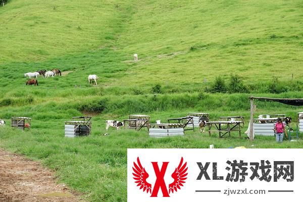 2024乌鲁木齐南山牧场门票多少钱