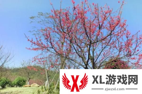 叱石风景区要门票吗