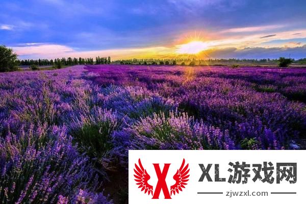 2024伊犁天山花海景区门票多少钱
