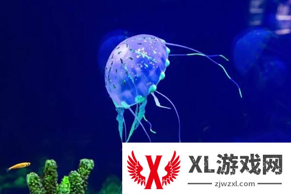 2024湄公河水底世界门票多少钱