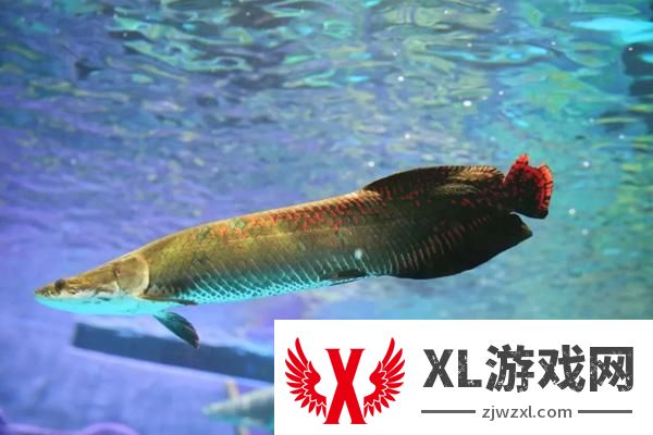 2024湄公河水底世界门票多少钱