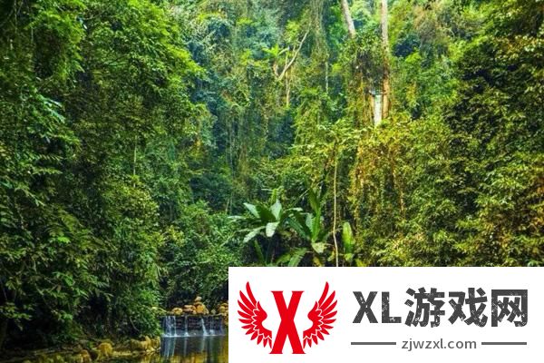 2024西双版纳原始森林公园门票多少钱