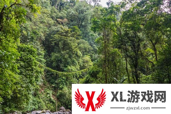 2024西双版纳原始森林公园门票多少钱
