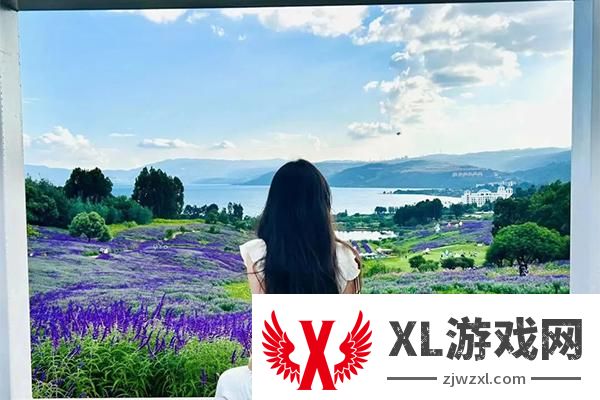 2024昆明华侨城云端花海门票多少钱