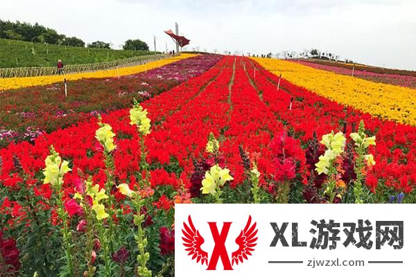 2024昆明华侨城云端花海门票多少钱